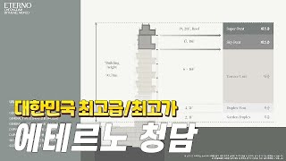 에테르노 청담자세한 설명하이엔드 하우스고가주택부자들이 사는곳부자들의 집 ETERNO CHEONGDAM HIGH END HOUSE​ KOREA 청담동 고급빌라의 정점 [upl. by Bengt]