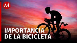 Bicicleta o barbarie un libro que hace un llamado a cambiar el paradigma de la movilidad [upl. by Loram530]