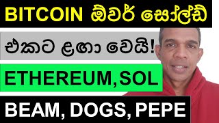 BITCOIN ඕවර් සෝල්ඩ් එකට ළඟා වෙයි  ETHEREUM SOLANABEAM DOGS AND PEPE [upl. by Helga]