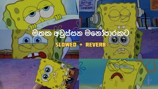 මතක අවුස්සන මනෝපාරකට  Slowed and Reverb Songs  manoparakata sindu playlist 5 [upl. by Dabney]