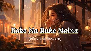 ROKE NA RUKE NAINA❤️  SLOWEDREVERB viralvideo love [upl. by Nekial747]