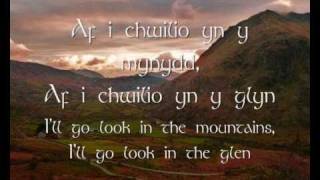 Mae Hiraeth yn Fy Nghalon  Dafydd Iwan geiriau  lyrics [upl. by Pattison]