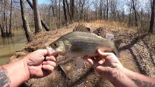 Whole Other Level OutdoorsBank fishN fish tales We were just about to leave and then it happened [upl. by Pietro]