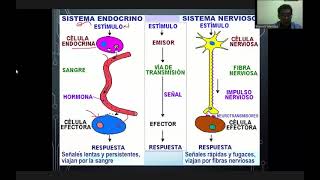 1 GENERALIDADES DE ENDOCRINOLOGÍA  031121 [upl. by Benn]