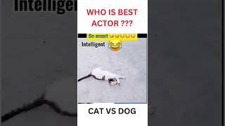 VERY FUNNY WHO IS THE BEST ACTOR CAT OR DOG  TRY NOT TO LAUGH funny funnyanimal cat dog [upl. by Zoilla]