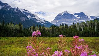 Mt Robson  Jasper  Anamorphic 4K UltraHD [upl. by Okihsoy]