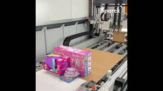 Automated packaging of various sized orders in one seamless flow [upl. by Carmina]