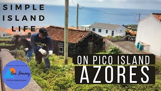 ISLAND LIFE IN THE NORTH ATLANTIC  AZORES  On Pico Island  Fire Nature amp Churrasco Episode 35 [upl. by Minton]