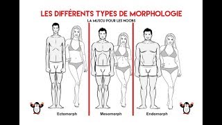 LES DIFFÉRENTS TYPES DE MORPHOLOGIE [upl. by Cryan]