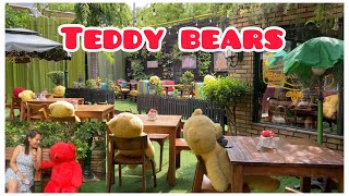 Teddy Bear Cafe In Delhi  Rustique  Hauz Khas  Sakshi Negi Vlogs [upl. by Evey]