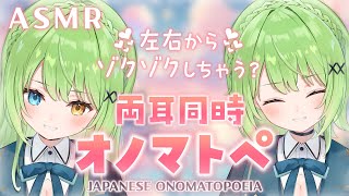 【ASMRbinaural】左右からゾクゾクが止まらない！左右同時オノマトペ♡Onomatopoeia whispered from both directions【音成モカ VTuber】 [upl. by Attenev980]