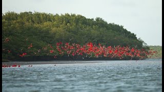 Repórter Mirante mostra as belezas da Cidade de Tutóia que faz parte da Rota das Emoções [upl. by Ancell]