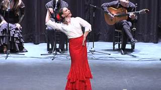 quotAlegríasquot programa Huelva TV concurso flamenco [upl. by Enovad3]