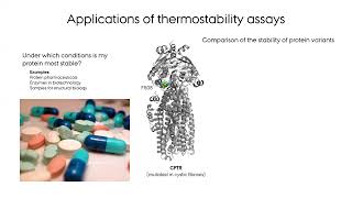 A brief introduction to nanoscale differential scanning fluorimetry nanoDSF [upl. by Altis890]