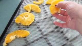 Dehydrated Oranges amp Lemons using Excalibur food dehydrator [upl. by Rehctelf898]