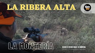 quotMONTERIA EN LA RIBERA ALTA CON MONTERÍAS RIQUELMEquot 21 de Enero 2023 en Almodóvar Ciudad Real [upl. by Bohi]