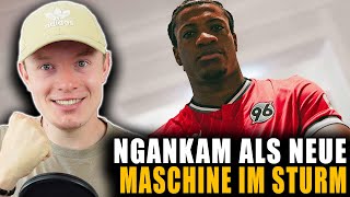 DER 1 BRECHERTRANSFER IN DIESEM SOMMER 🔥  Hannover 96 Talk [upl. by Devonna170]