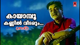 Kayampoo Kannil Vidarum  Nadhi1969  KJ Yesudas  Vayalar ramavarma  G Devarajan  Movie Song [upl. by Aiuqenehs]