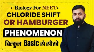 Chloride shift or Hamburger phenomenon NEET BIOLOGY [upl. by Hermy340]