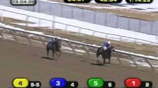 Horrifying Horse Racing Accident [upl. by Eberhart]