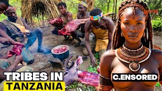 CURVY BEAUTIES amp Hunting and Eating Rre Animals  15 Strange and Amazing Facts About TANZANIA [upl. by Florette]