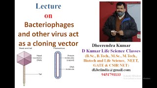 Bacteriophages and other virus act as a cloning vector by Dheerendra Kumar [upl. by Fenton]