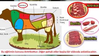 ANTRİKOT EĞİTİMİ Bonfile Kontrfile Eğitim SamimiMutfak [upl. by Acirej]