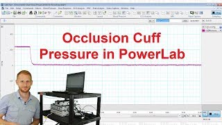 Blood Pressure Cuff in PowerLab [upl. by Outlaw]