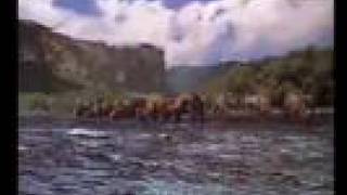 Walking with Dinosaurs The 3D Movie  quotBringing Walking with Dinosaurs to Lifequot  Featurette HD [upl. by Persas994]