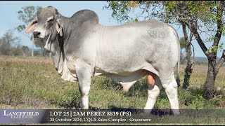 Lot 25  2AM PEREZ 8819 PS [upl. by Anilasor330]