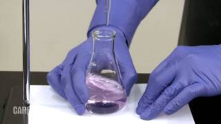 Setting up and Performing a Titration [upl. by Okoy]