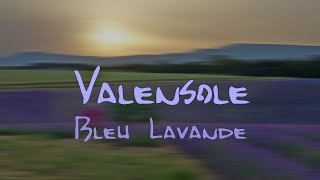 Valensole Bleu lavande [upl. by Woolley]