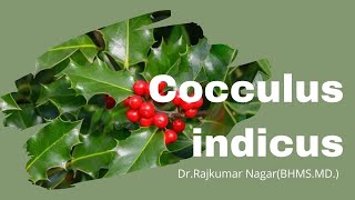 COCCULUS INDICUS By DrRajkumar NagarBHMSMD [upl. by Nilats]