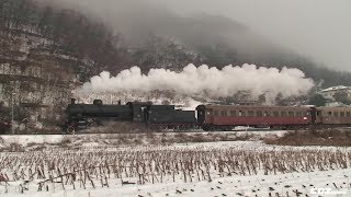 V19  Vapore in Valsugana  16 dicembre 20121  25p YT [upl. by Adorl136]