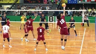 【黒鷲旗2019】早稲田大学 vs 堺ブレイザーズ 第1セット [upl. by Kalman]