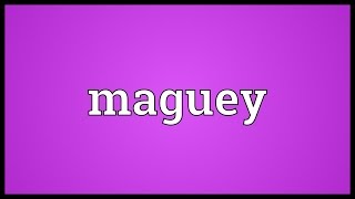 Maguey Meaning [upl. by Akieluz]