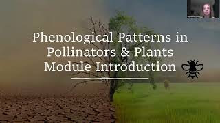 Pollinator Phenology Module Introduction [upl. by Landan259]