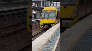 Sydney Trains Waratah A46 arriving at Lidcombe sydneytrains train railway [upl. by Boycie108]