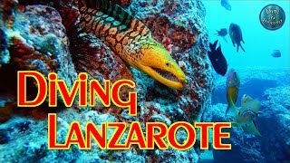 Scuba Diving LANZAROTE  Playa Blanca  Canary Islands  Spain  GoPro 1080p 60FPS [upl. by Ativla596]