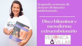 Segunda semana de desenvolvimento embrionário Disco bilaminar e mesoderma extraembrionário [upl. by Katlaps864]