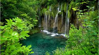 Instant deep sleep with Soothing waterfall sounds in the forest Relaxing River Sounds waterfalls [upl. by Lisab]