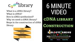 cDNA Library Construction Steps and Advantages 6 minutes [upl. by Abba]