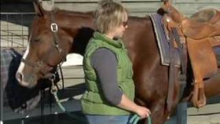 How to Fit Your Horse with a Western Saddle  How to Adjust the Stirrups on a Western Saddle [upl. by Beaston]