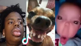 THE FUNNIEST TIK TOK MEMES Of August 2023  Try Not To LAUGH 😂  15 [upl. by Ackerman]