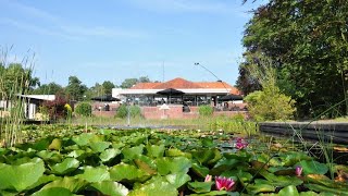 Resort Bad Boekelo Boekelo Netherlands [upl. by Hairahcaz]