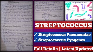 Streptococcus  streptococcus Pyogenes  streptococcus pneumoniae [upl. by Giuditta]