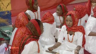 Kanuriyerwa wedding culture Visualeyezit عرس قبائل البرناوي بين الحضارة والعادات والتقاليد [upl. by Anigroeg]