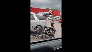 Triplet Dad solves Stroller Problem 😲 [upl. by Tullius]