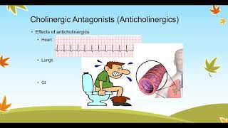 Cholinergic Agonists and Antagonists [upl. by Lakym]