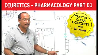 Diuretics  Pharmacology  Part 13 [upl. by Woo137]